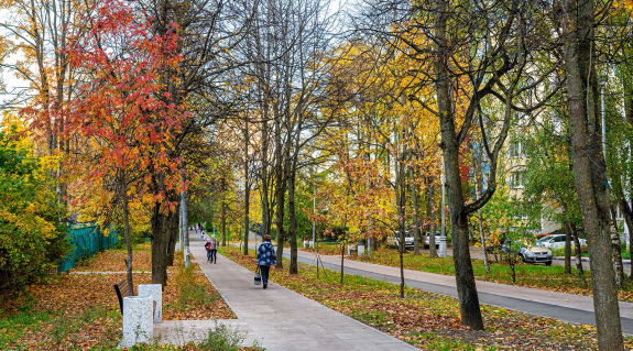 Благоустройство Зеленоградского АО