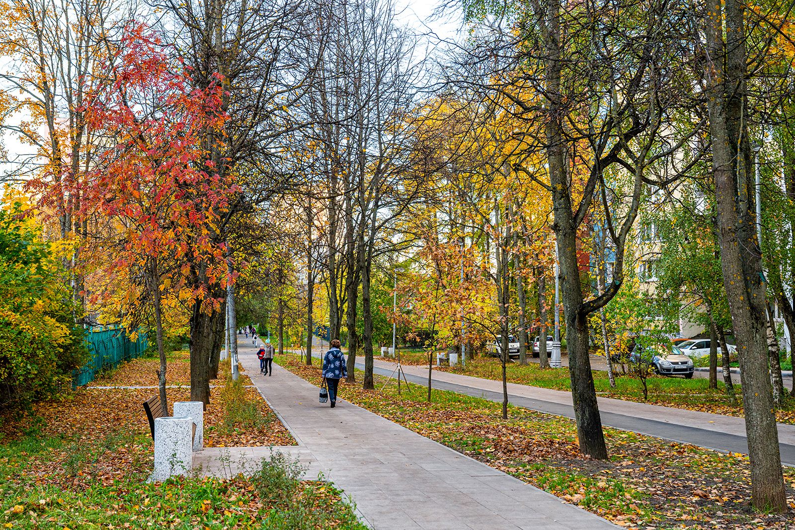 Благоустройство Зеленоградского АО